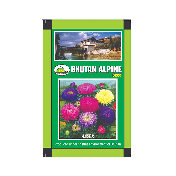 Bhutan Alpine Seed - Aster