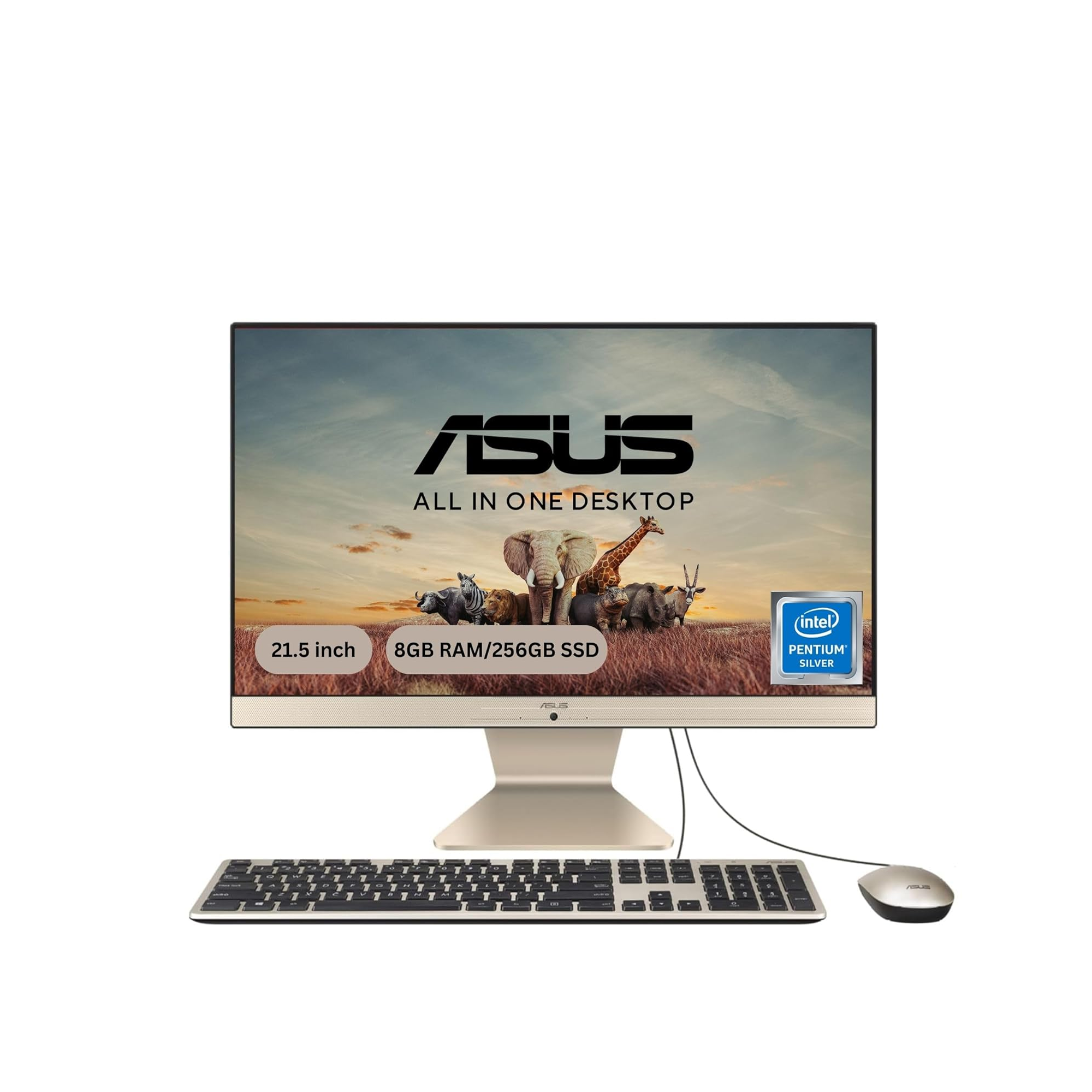 Asus Vivo All In One Desktop - 4 Core Intel Pentium Silver Asus Vivo All In One Desktop - 4 Core Intel Pentium Silver