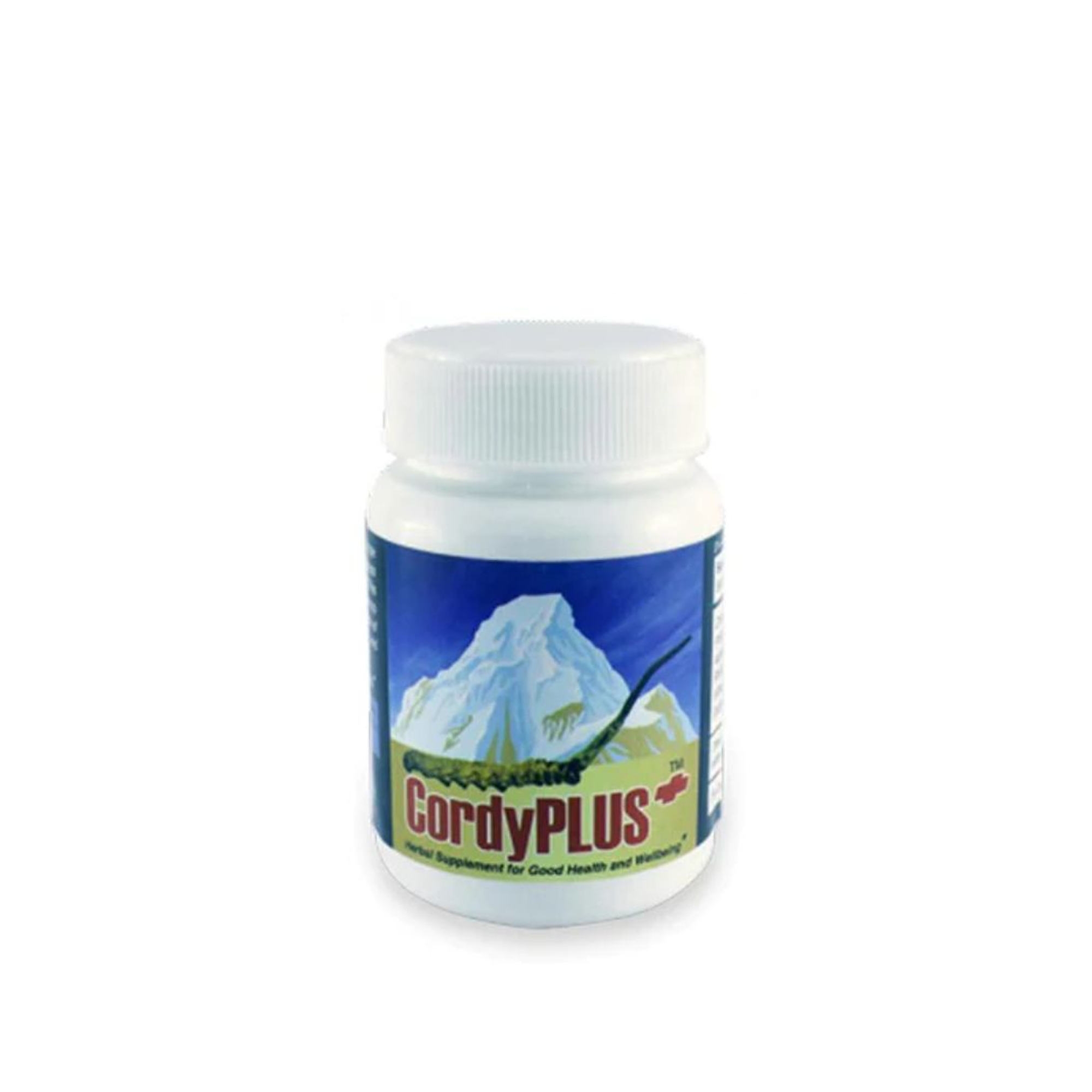 Menjong Sorig - Cordy Plus Capsule - 30 Capsules