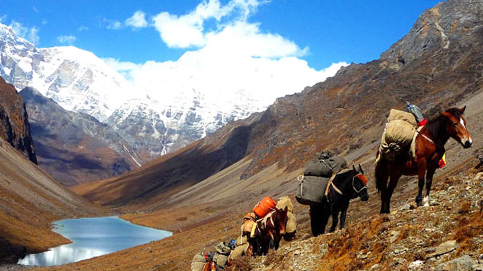 Sagala Trek, 3 Days & 2 Nights - Tents, Sleepbags, Mattresses, Meals, Snacks, Tea/Cofee, Cook & Support Staff